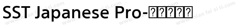 SST Japanese Pro字体转换